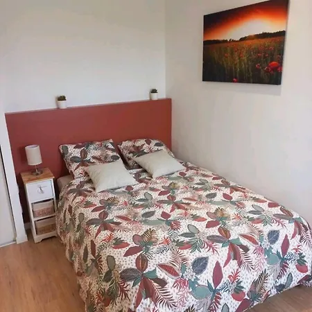 Tres Bel T3 - Metro Mermoz - Parking Apartment *